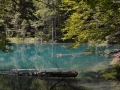 Landschaft 3