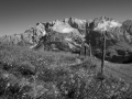 DSCF1208
