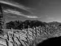 DSCF3807